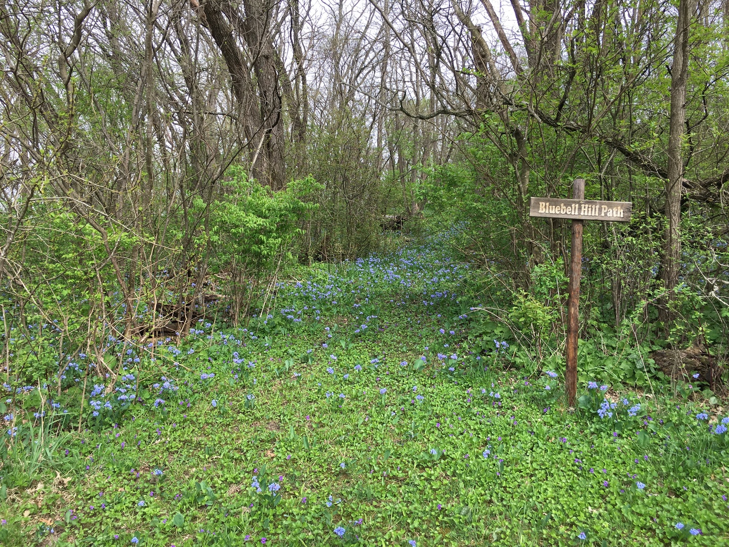 Lot 5 Meyers Road Mount Carroll, IL 61053 - Photo 26 of 49 Gallery Image 26