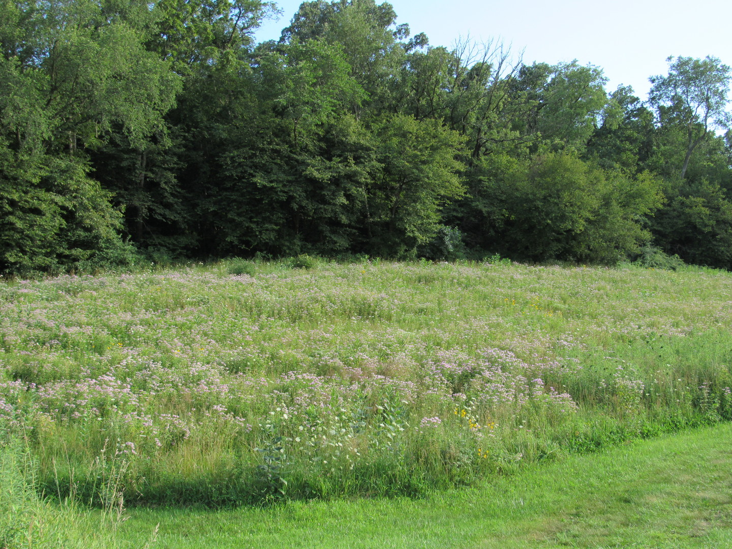 Lot 5 Meyers Road Mount Carroll, IL 61053 - Photo 32 of 49 Gallery Image 32