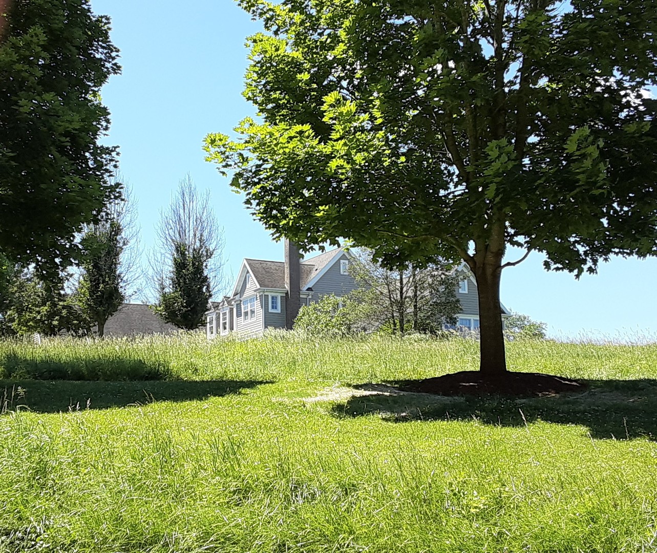 Lot 5 Meyers Road Mount Carroll, IL 61053 - Photo 45 of 49 Gallery Image 45