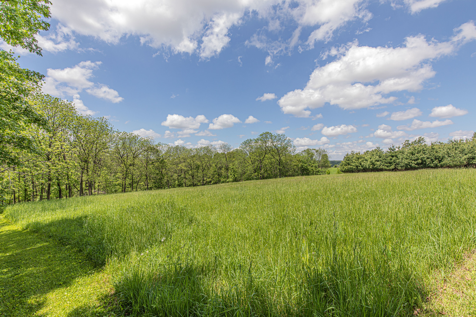 Lot 5 Meyers Road Mount Carroll, IL 61053 - Photo 6 of 49 Gallery Image 6