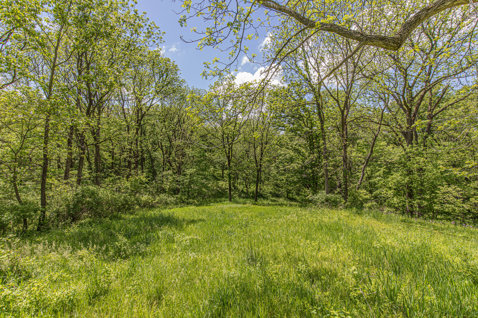 Lot 5 Meyers Road Mount Carroll, IL 61053 - Photo 7 of 49 Gallery Image 7