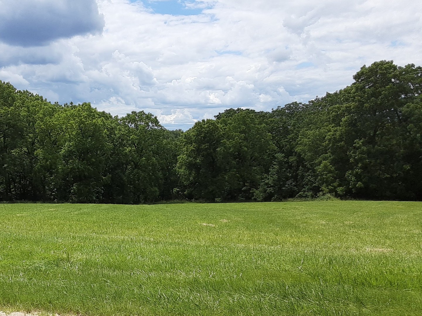 Lot 5 Meyers Road Mount Carroll, IL 61053 - Photo 10 of 49 Gallery Image 10