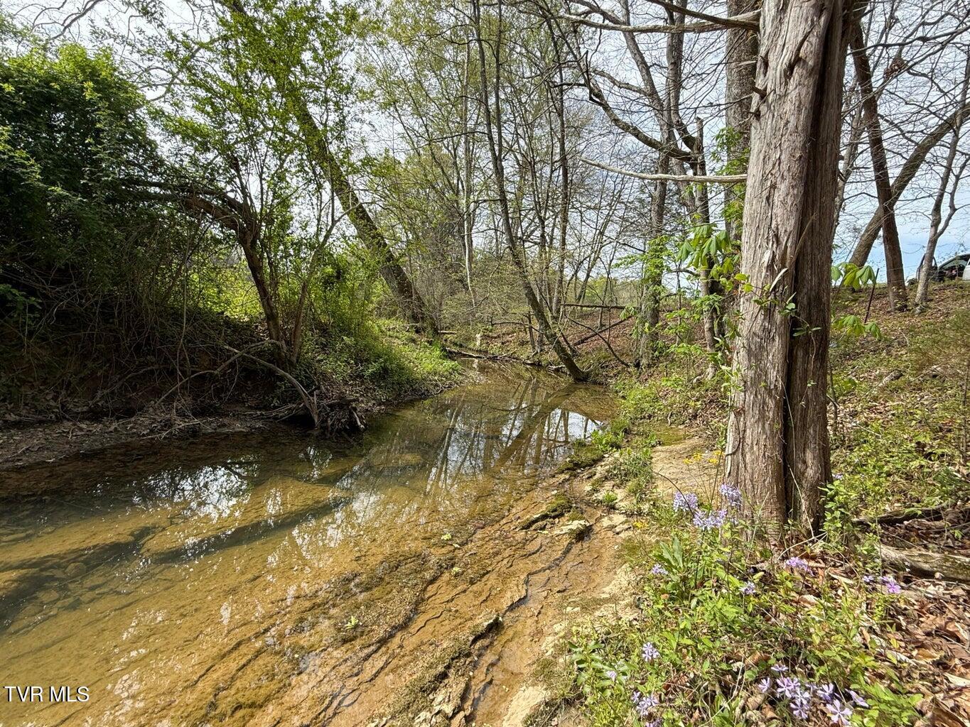 0 Longtown Road Bulls Gap, TN 37711 - Photo 11 of 29 20250417183650158691000000-o