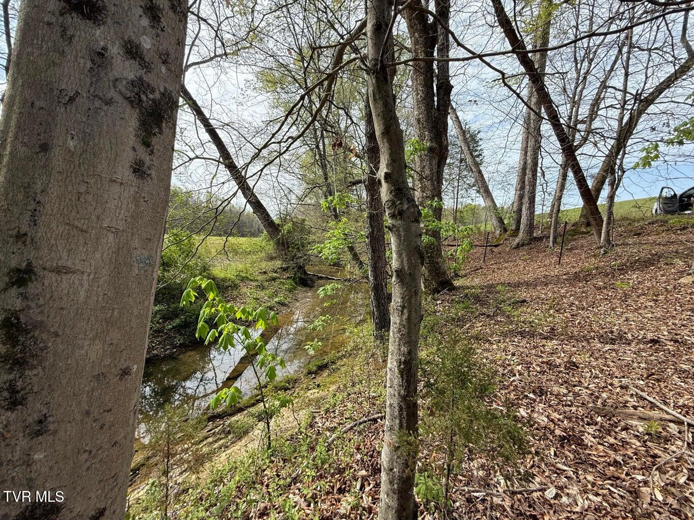 0 Longtown Road Bulls Gap, TN 37711 - Photo 12 of 29 20250417183713157393000000-o