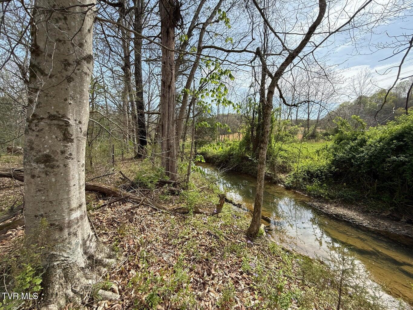 0 Longtown Road Bulls Gap, TN 37711 - Photo 13 of 29 20250417183721907423000000-o