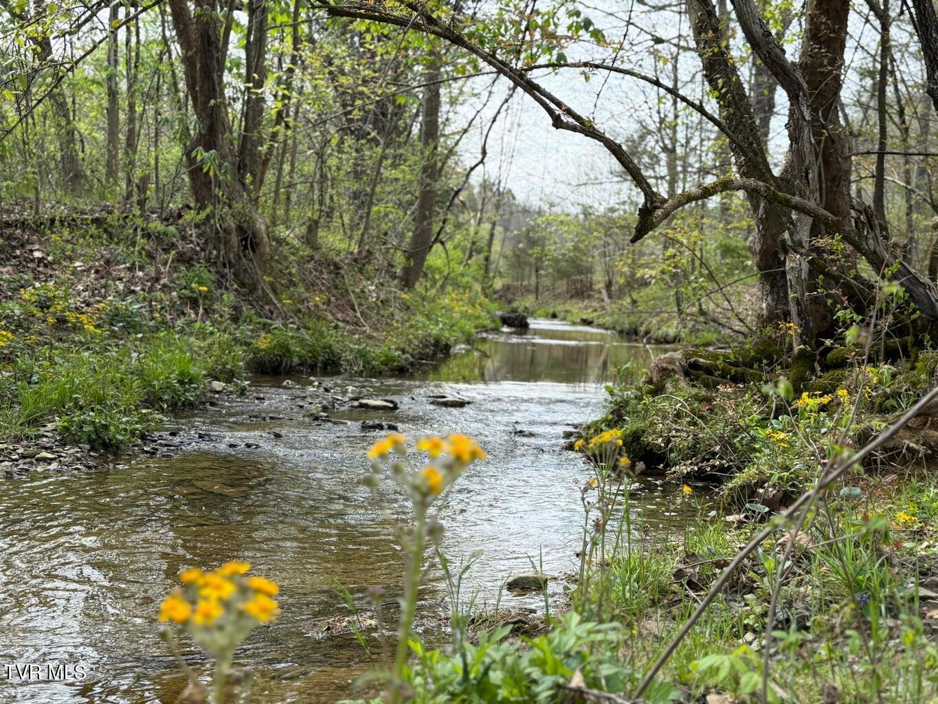 0 Longtown Road Bulls Gap, TN 37711 - Photo 16 of 29 20250417183815507855000000-o