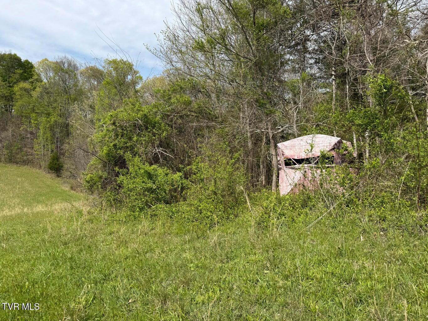 0 Longtown Road Bulls Gap, TN 37711 - Photo 20 of 29 20250417183914686956000000-o