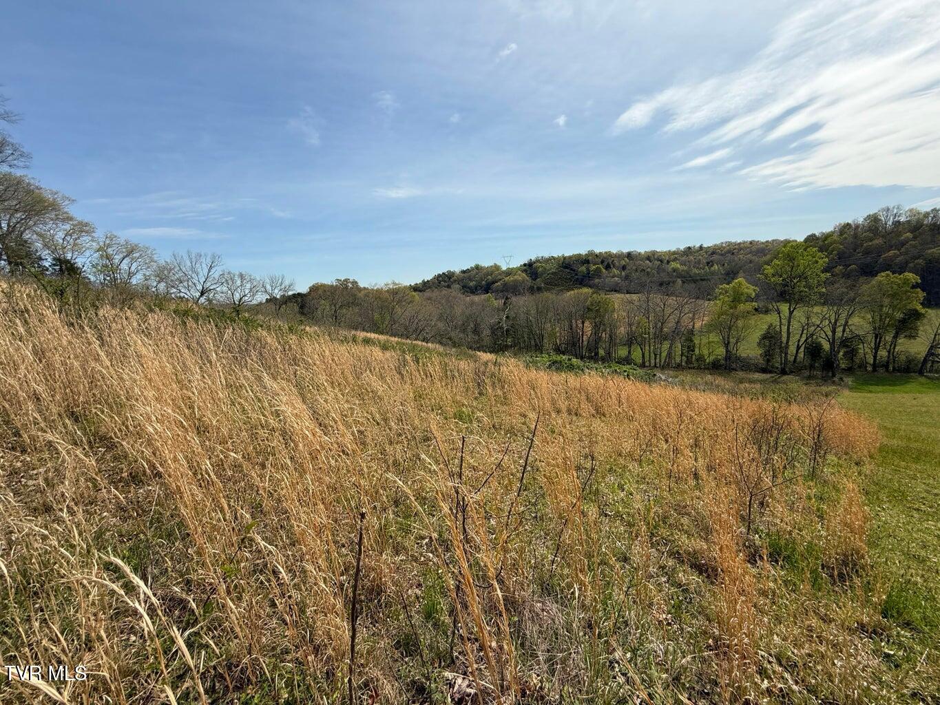 0 Longtown Road Bulls Gap, TN 37711 - Photo 22 of 29 20250417183929916565000000-o