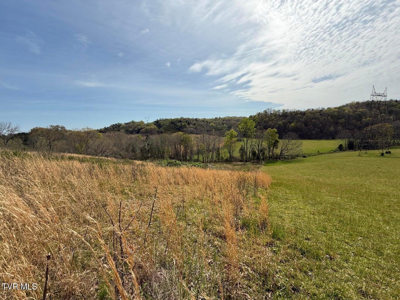 0 Longtown Road Bulls Gap, TN 37711 - Photo 23 of 29 20250417183935480524000000-o