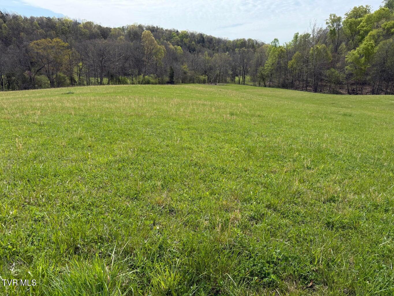 0 Longtown Road Bulls Gap, TN 37711 - Photo 27 of 29 20250417184010741479000000-o