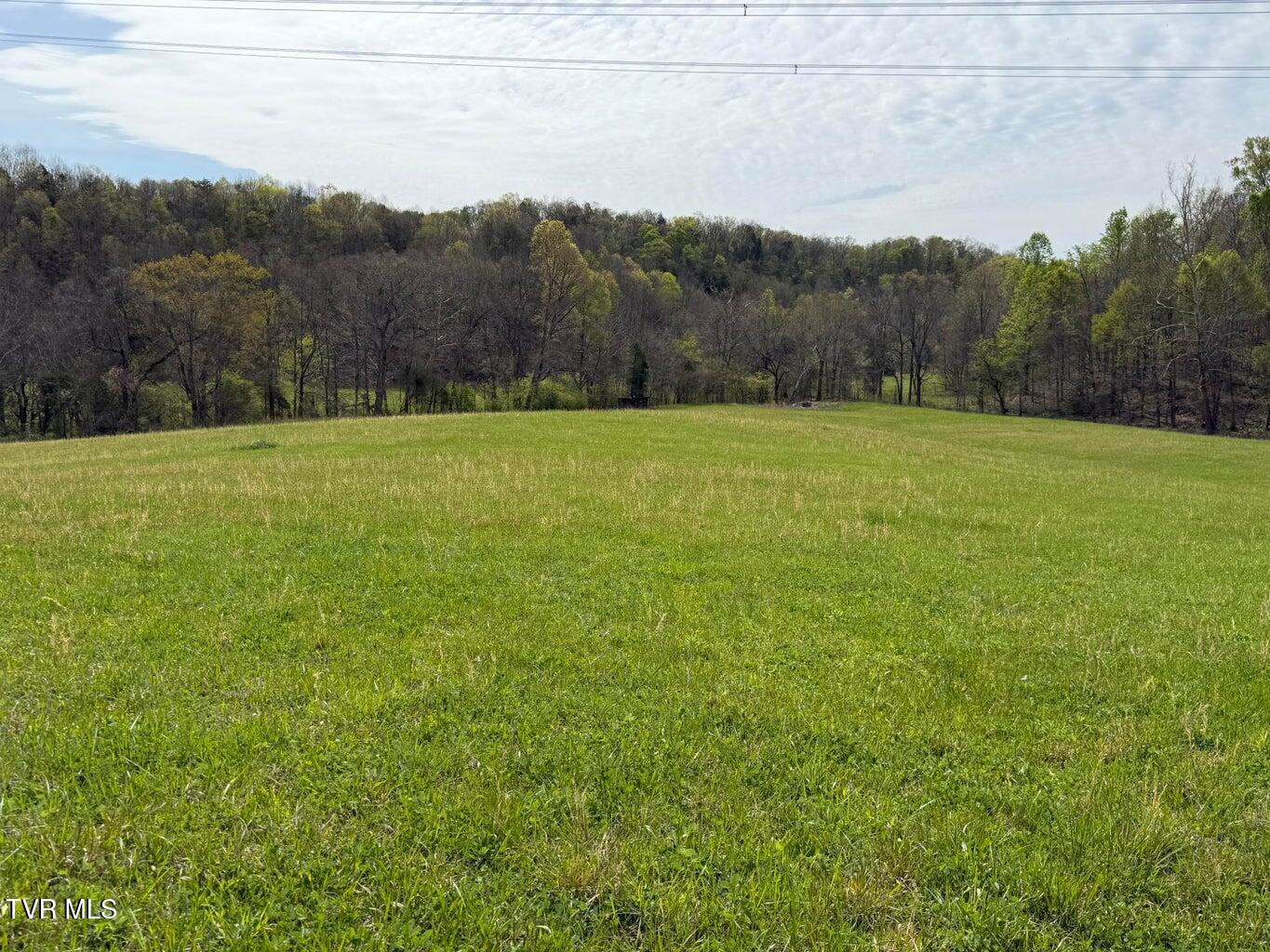0 Longtown Road Bulls Gap, TN 37711 - Photo 28 of 29 20250417184020877816000000-o