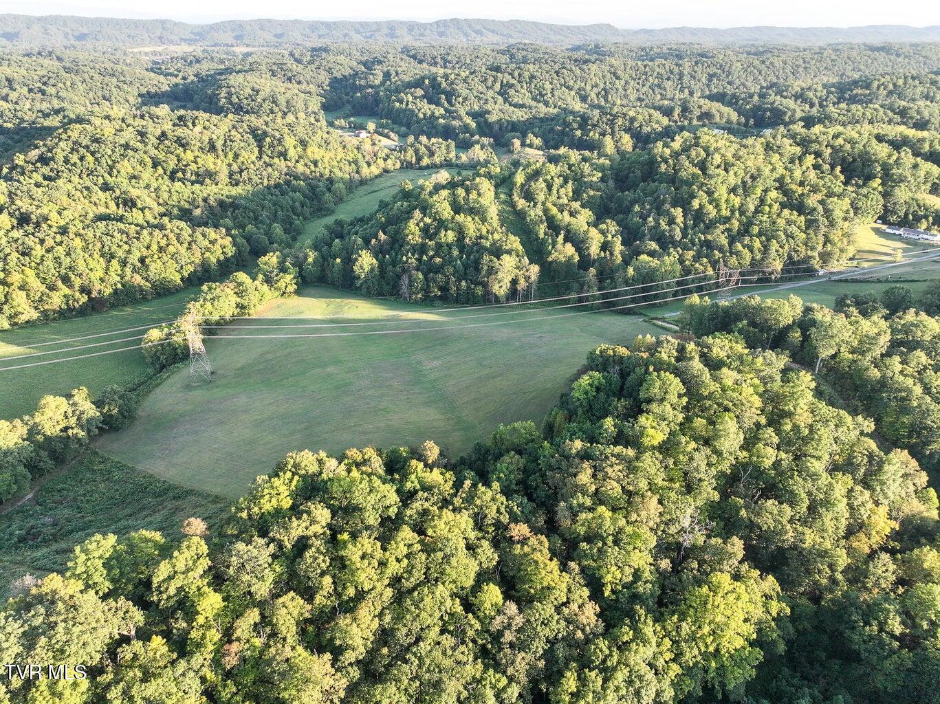 0 Longtown Road Bulls Gap, TN 37711 - Photo 3 of 29 20240907020639354162000000-o