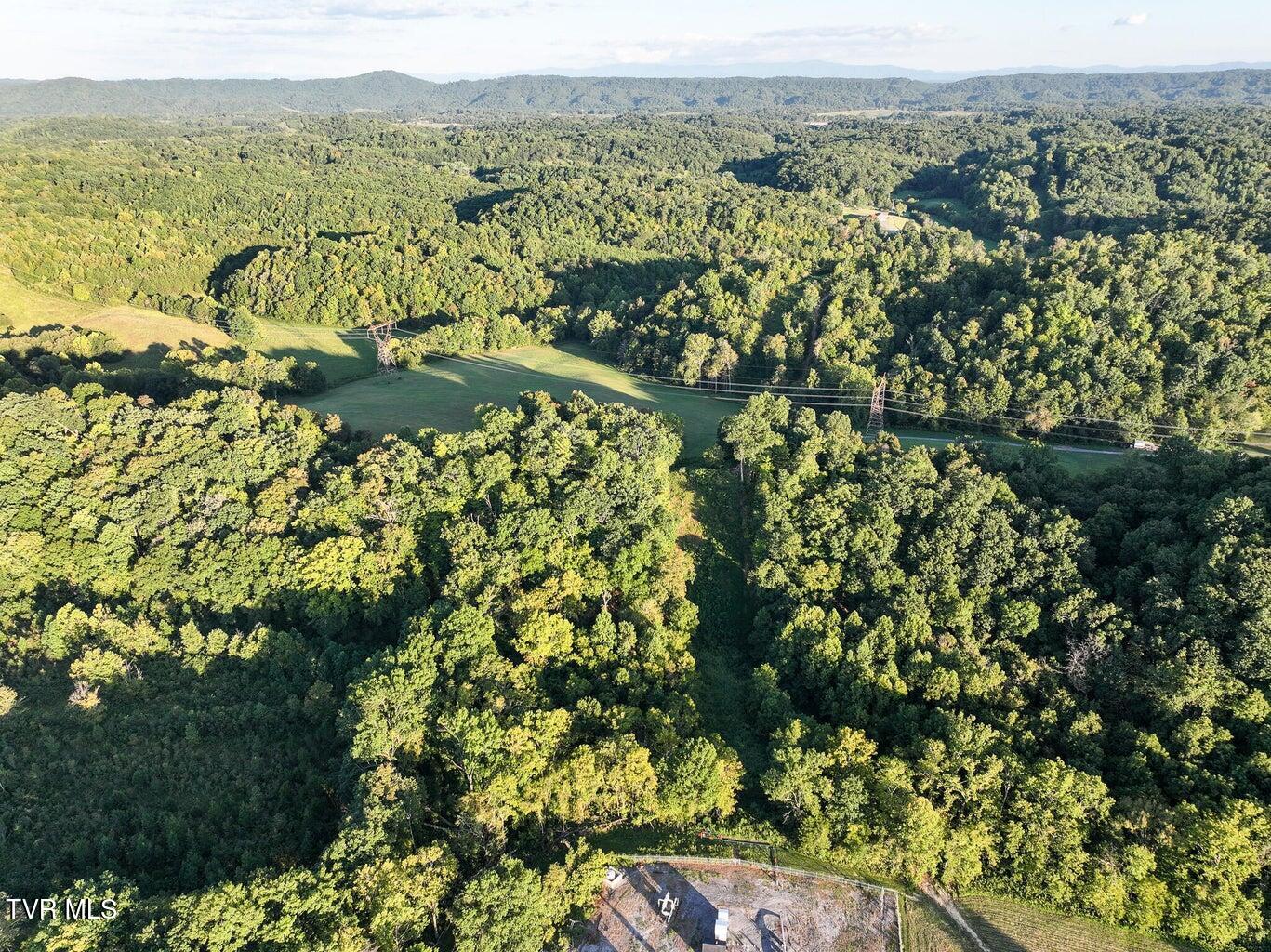 0 Longtown Road Bulls Gap, TN 37711 - Photo 4 of 29 20250117152218861950000000-o