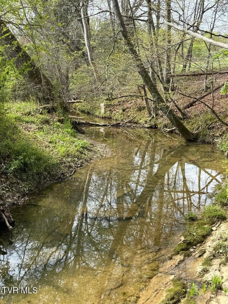 0 Longtown Road Bulls Gap, TN 37711 - Photo 7 of 29 20250417183631293571000000-o