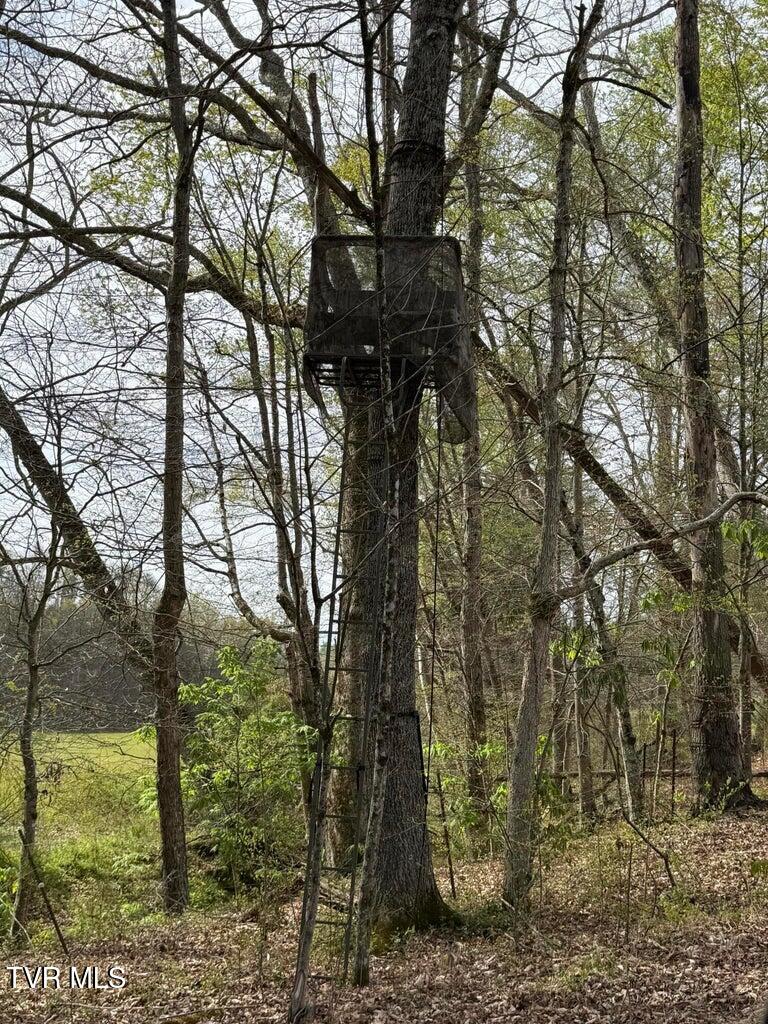 0 Longtown Road Bulls Gap, TN 37711 - Photo 8 of 29 20250417183638582053000000-o