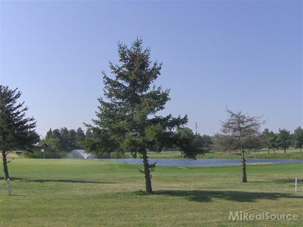 5440 Babcock Road Lexington, MI 48450 - Photo 3 of 6 31193760-2.JPG