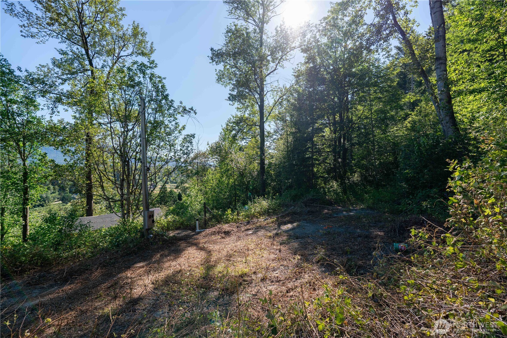 14405 Whiteman Road Gold Bar, WA 98251 - Photo 4 of 37