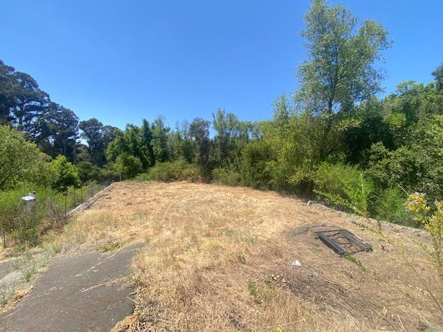 3932 Recreation Center Road Castro Valley, CA 94552 - Photo 1 of 9 a pathway of a yard