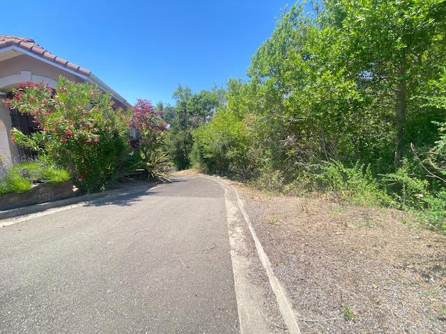 3932 Recreation Center Road Castro Valley, CA 94552 - Photo 4 of 9 a view of a road with plants and large trees