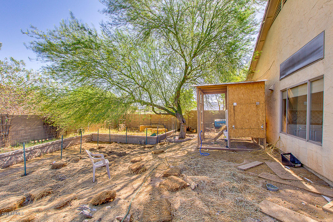 8023 North Citrus Road Waddell, AZ 85355 - Photo 53 of 66 53-Citrus