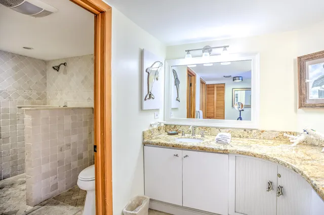 a bathroom with a granite countertop sink toilet and shower