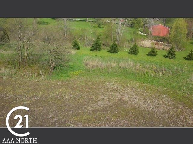 523 Berville Road Allenton, MI 48002 - Photo 31 of 35 Gallery Image 31