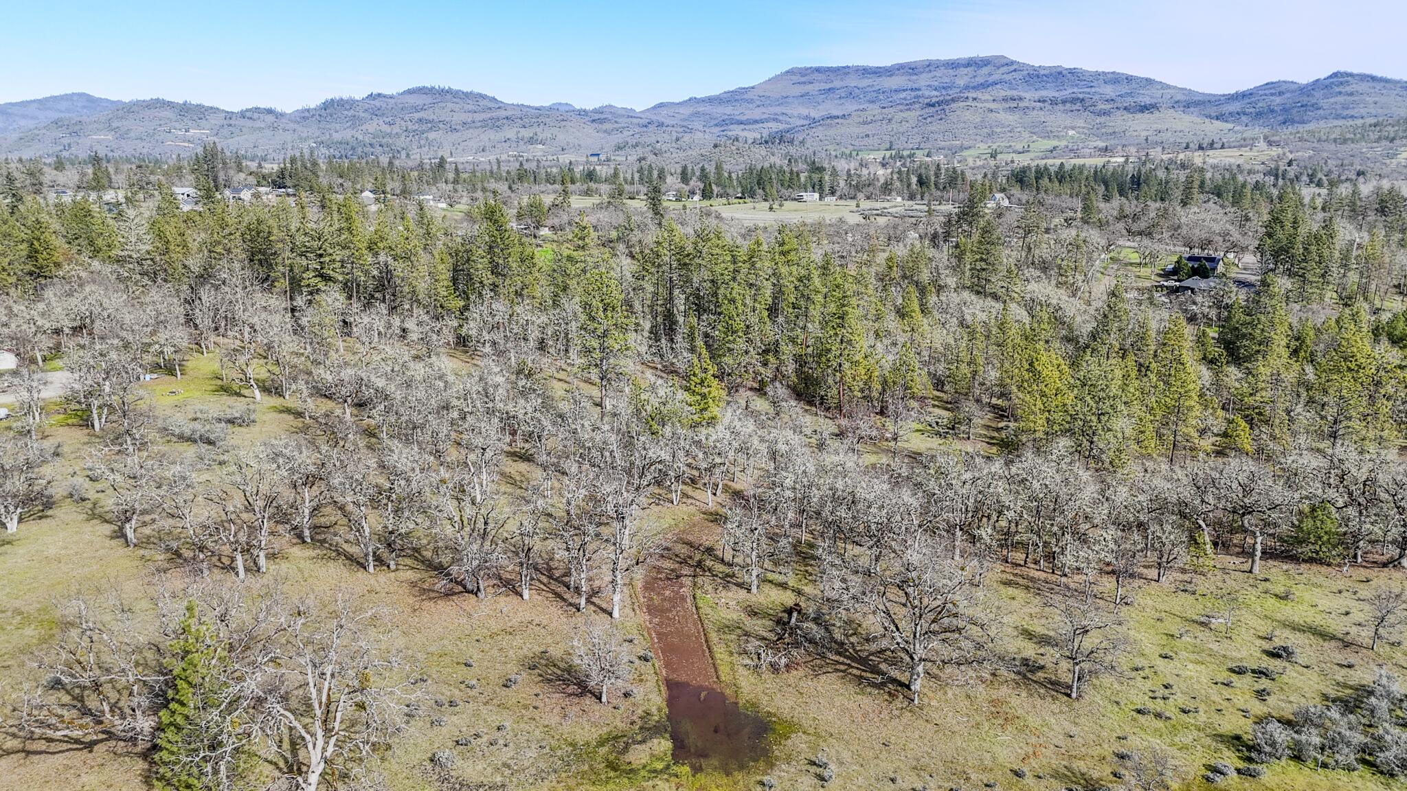 506 Greenleaf Drive Eagle Point, OR 97524 - Photo 16 of 38 DJI_20260227140057_0526_D-HDR