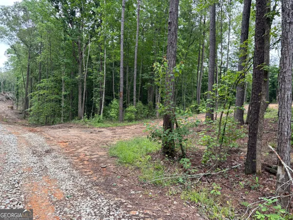 $39,900 | Tract 1-343 County Road 892, Wedowee, AL 36278