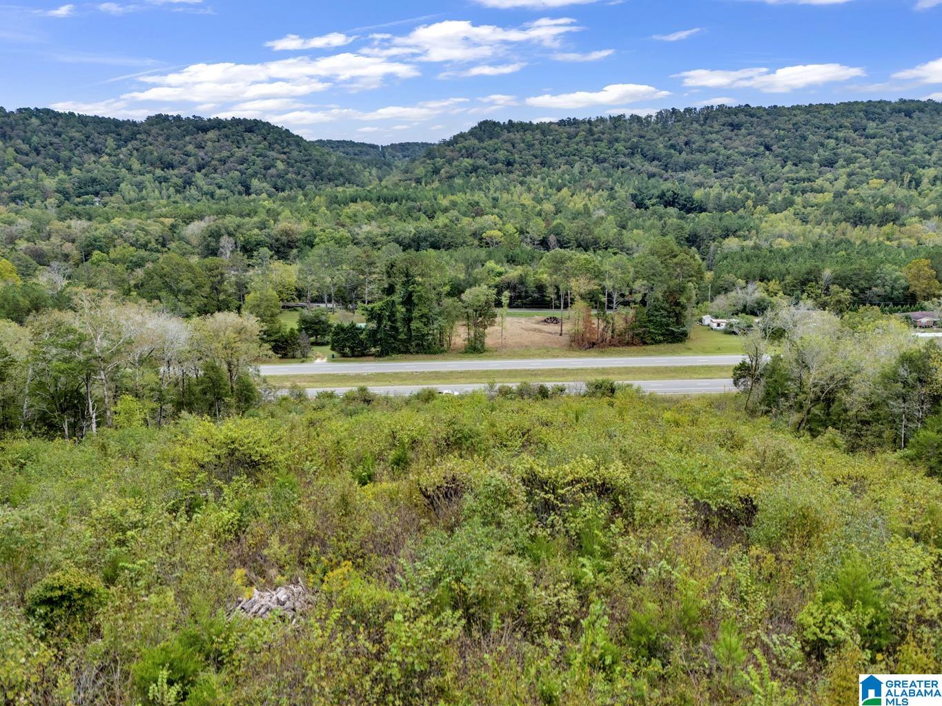 0 Highway 75 Remlap, AL 35133 - Photo 5 of 6