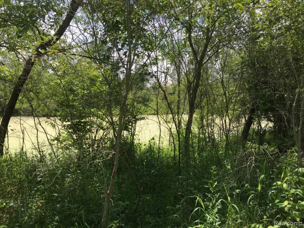 Parcel B Parker Road Holly, MI 48442 - Photo 17 of 18