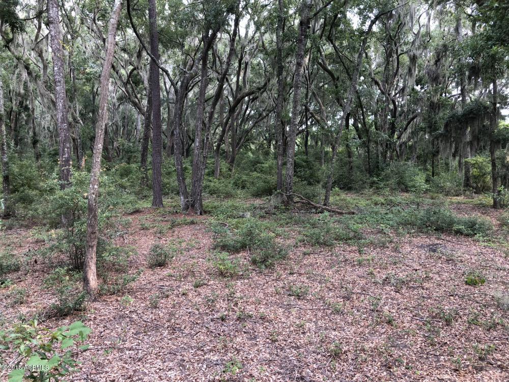 51 Big House Road St. Helena Island, SC 29920 - Photo 13 of 27 13