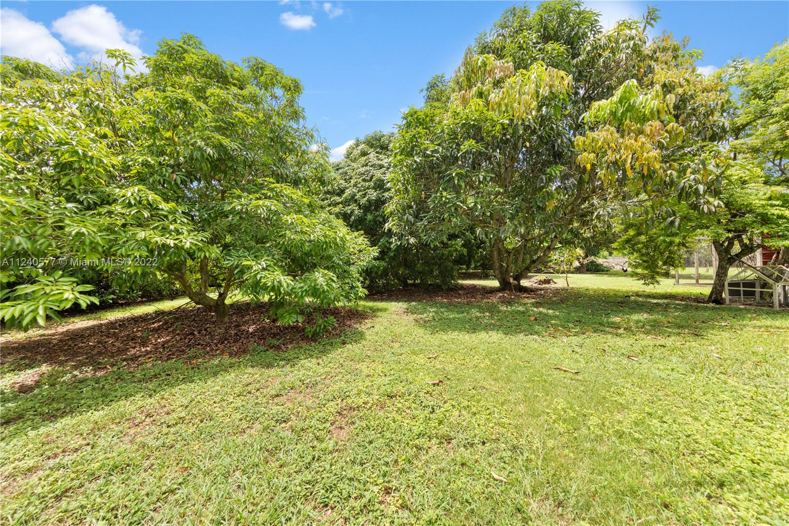 19760 Southwest 242nd Terrace Homestead, FL 33031 - Photo 43 of 49 a backyard of a house with lots of green space