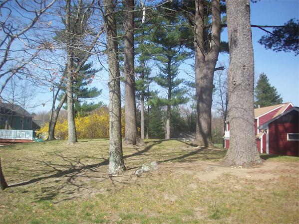 12 Batchelder Road Reading, MA 01867 - Photo 11 of 27 Gallery Image 11