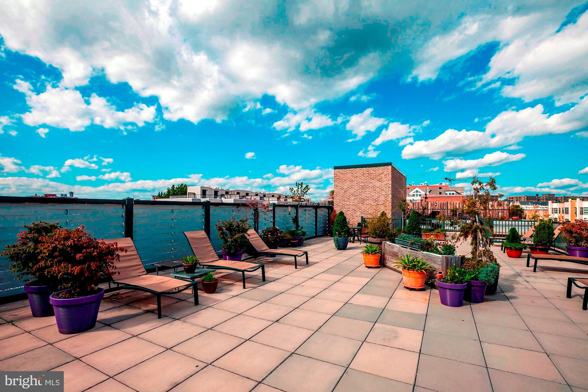 1701 Kalorama Road Northwest, Unit 206 Washington, DC 20009 - Photo 31 of 42 Expansive rooftop terrace