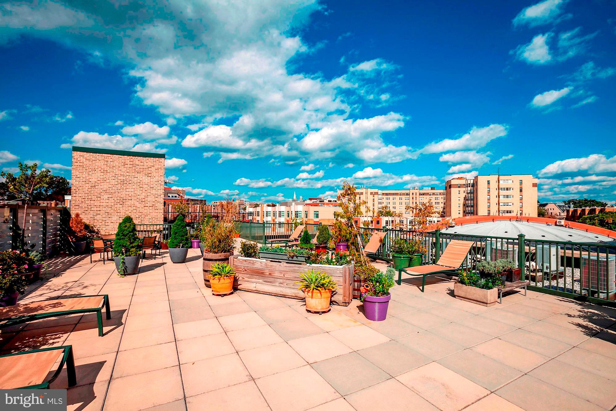 1701 Kalorama Road Northwest, Unit 206 Washington, DC 20009 - Photo 32 of 42 Great city views