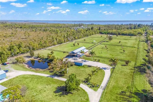 a view of a big yard with a large trees