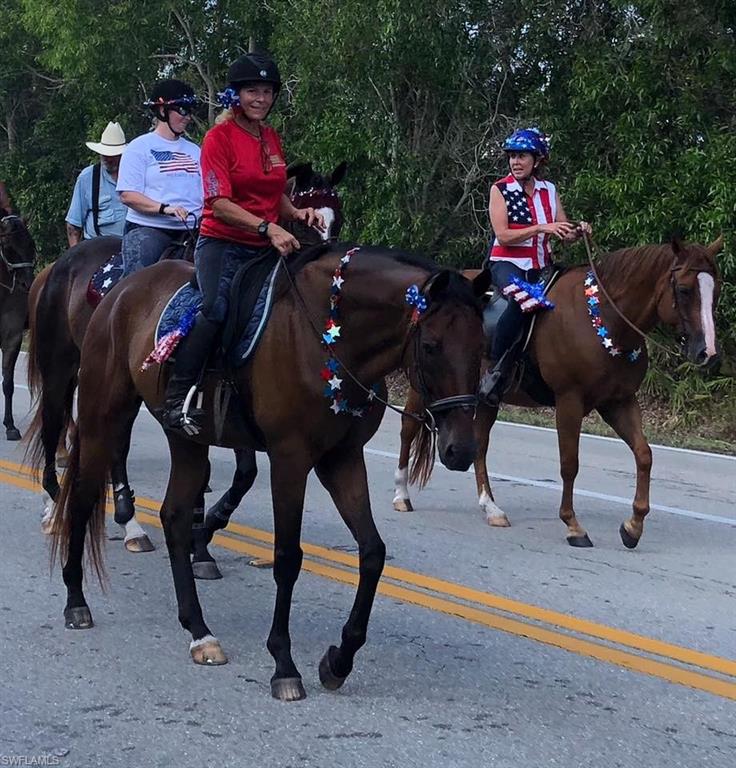 6050 Stringfellow Road St. James City, FL 33956 - Photo 8 of 23 Trail rides from the farm