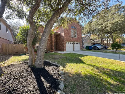 a view of road with large trees