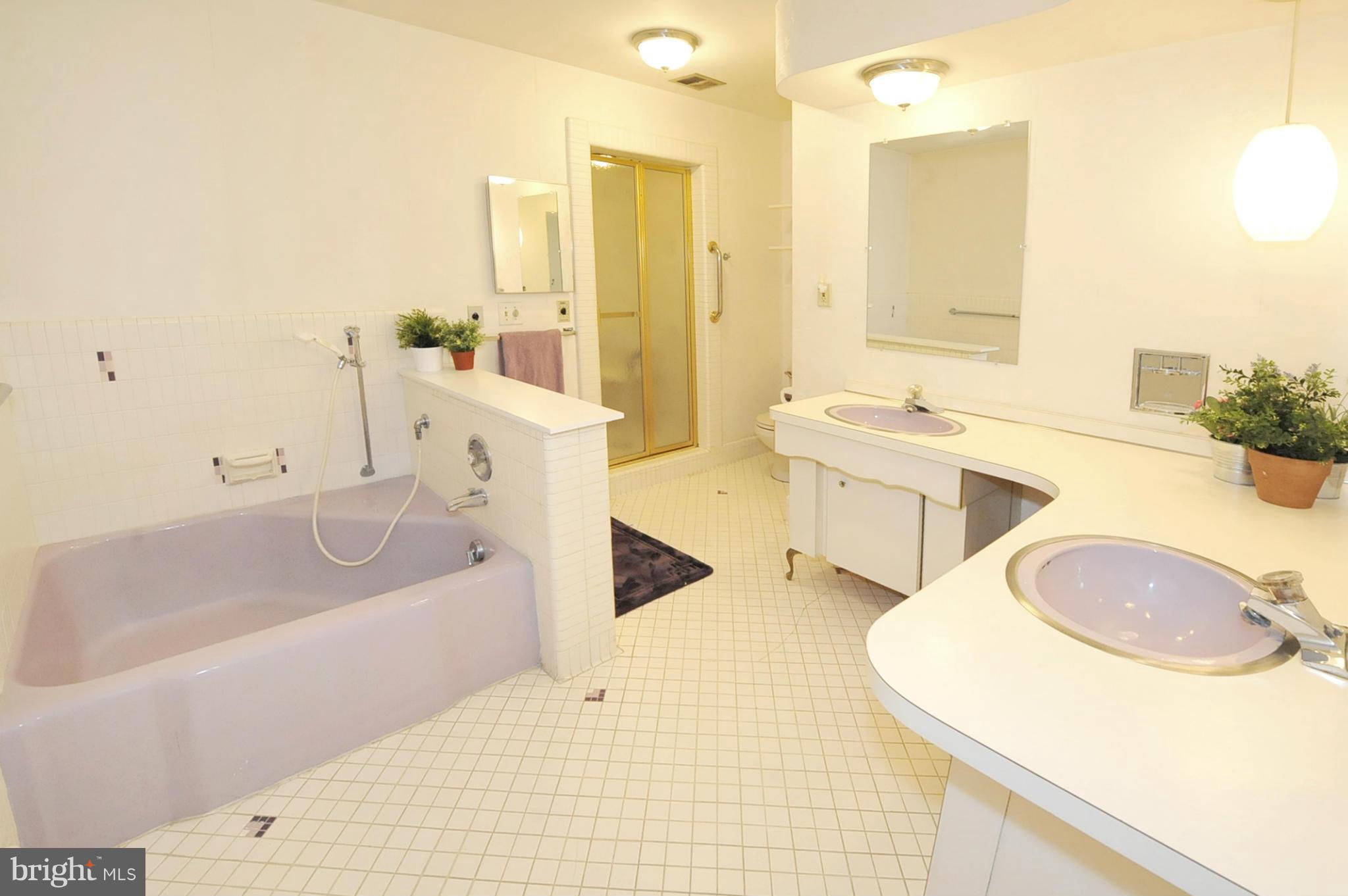 14708 Harold Road Silver Spring, MD 20905 - Photo 18 of 25 Bath (Master)