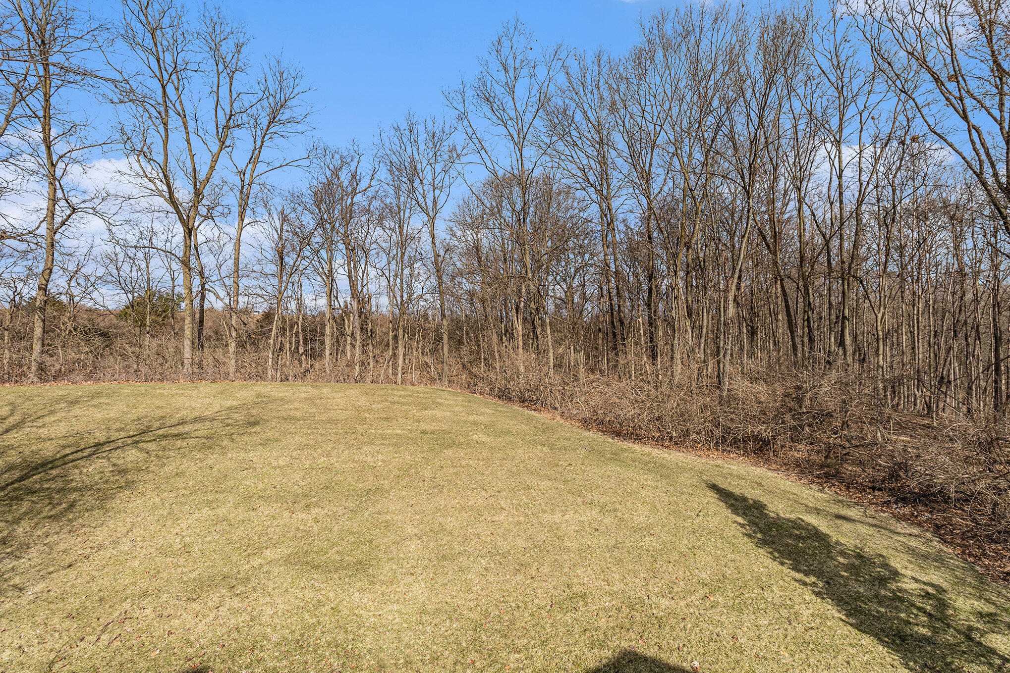 4910 Ravine Court Ann Arbor, MI 48105 - Photo 22 of 57 20.1 view