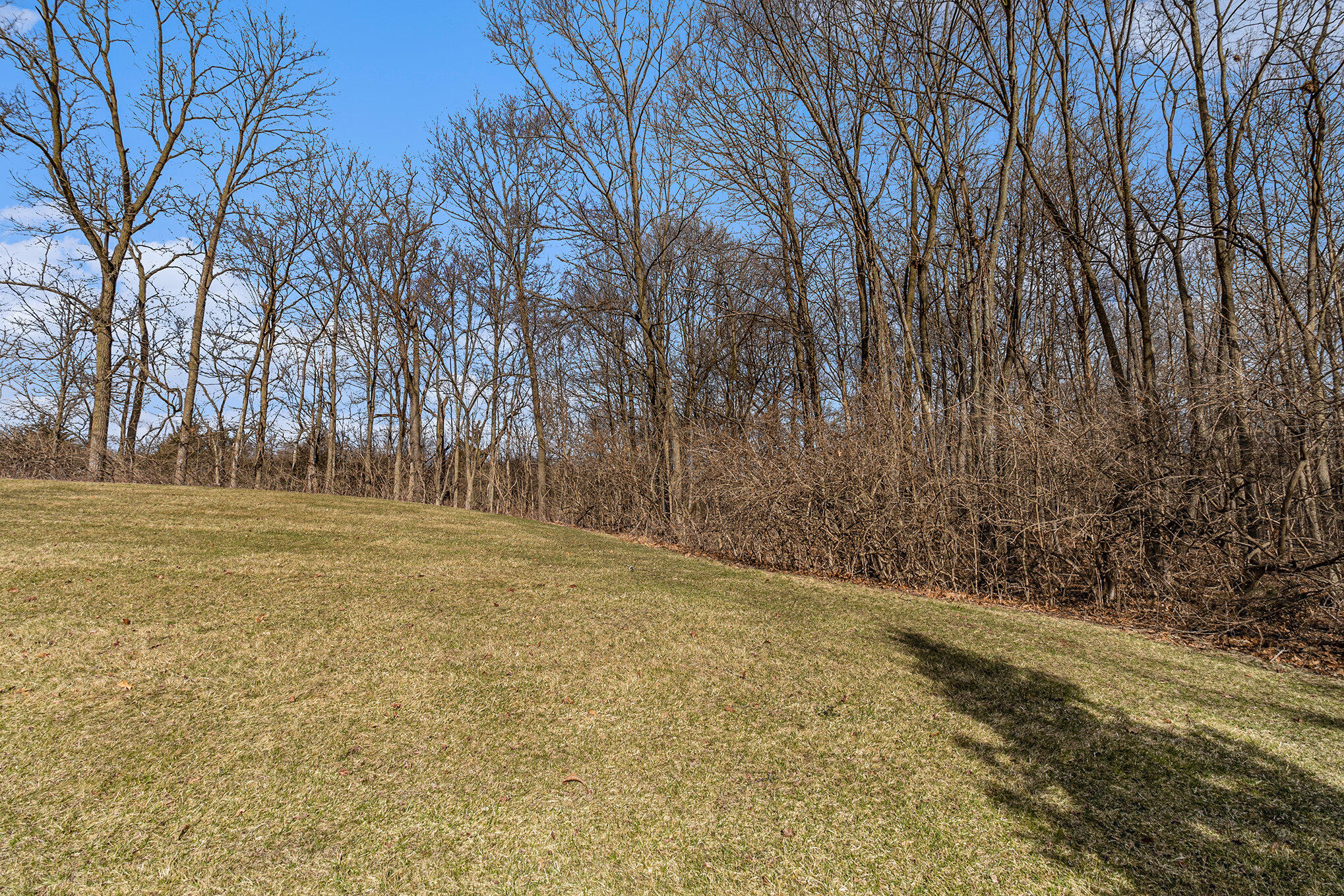 4910 Ravine Court Ann Arbor, MI 48105 - Photo 50 of 57 44.1 yard