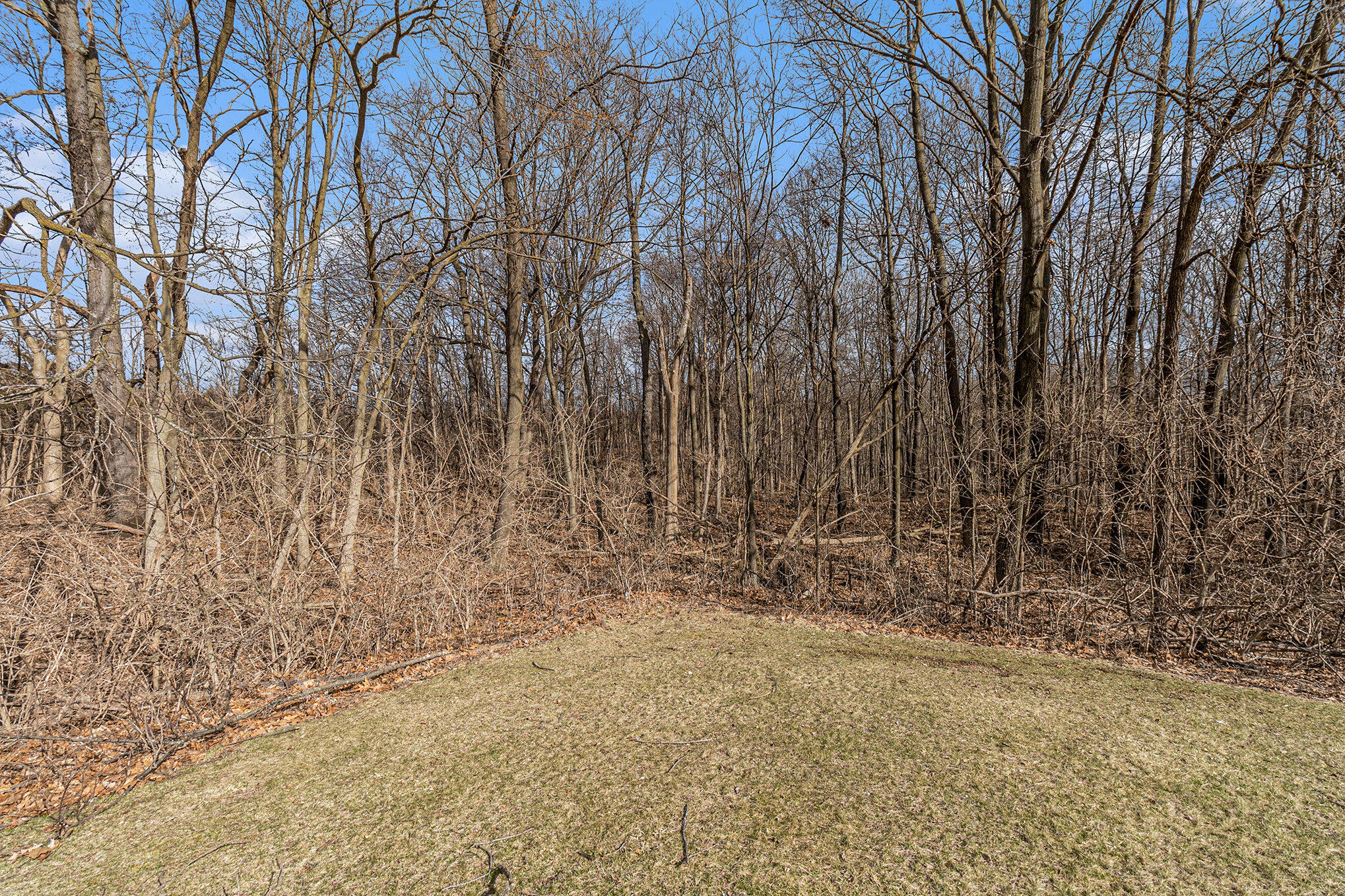 4910 Ravine Court Ann Arbor, MI 48105 - Photo 51 of 57 45 woods