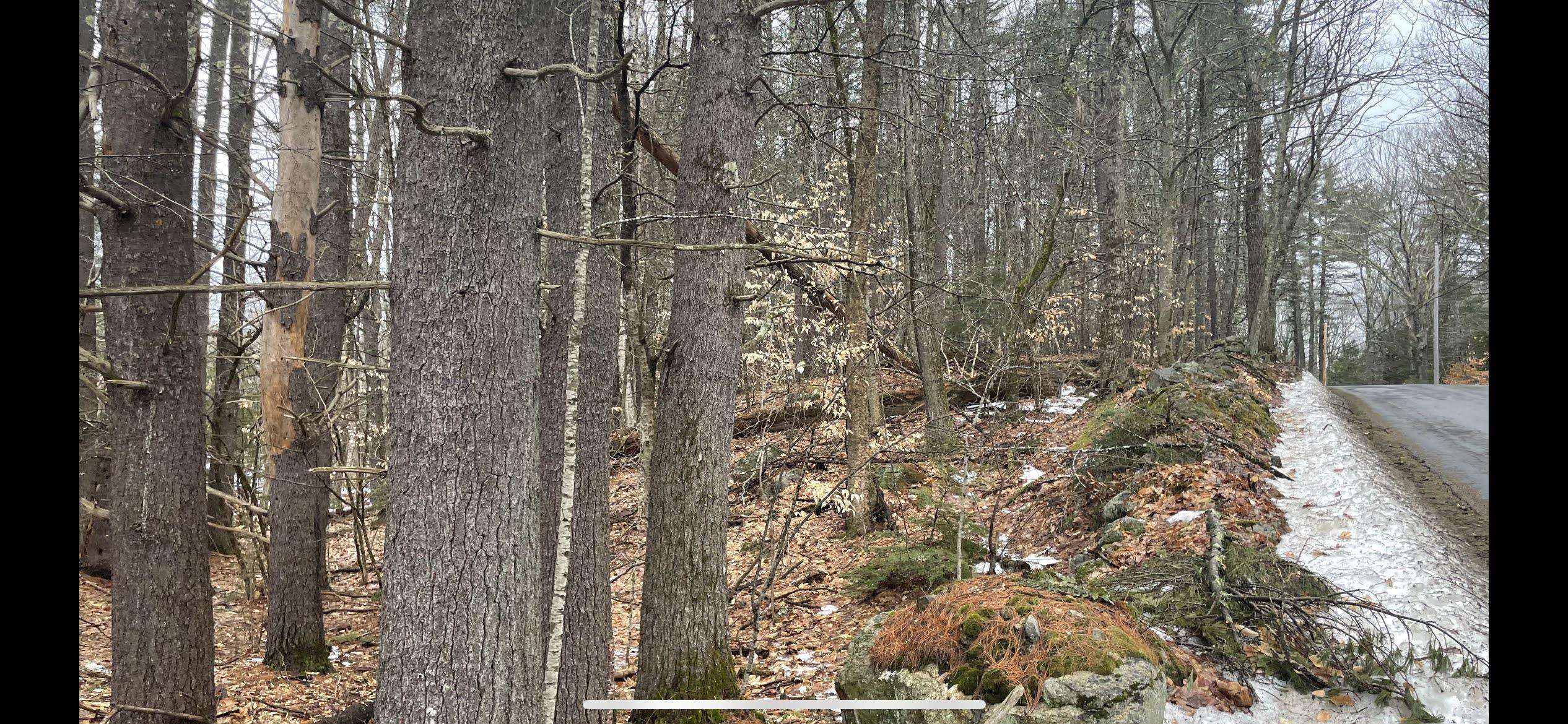 Map416-block48 Nottingham Road Deerfield, NH 03037 - Photo 2 of 8