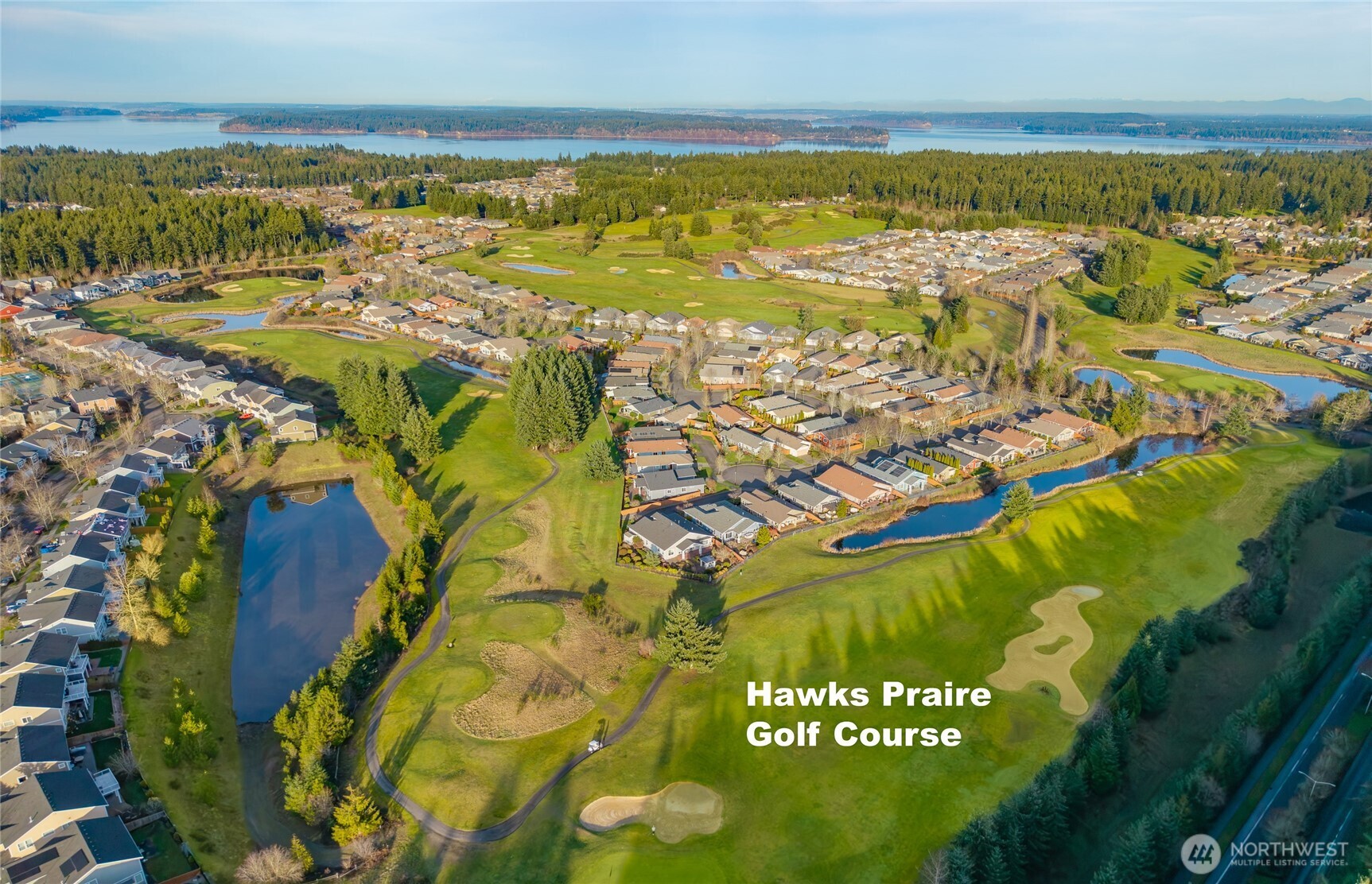 4510 McKinley Street Northeast Lacey, WA 98516 - Photo 30 of 34 a view of an ocean view