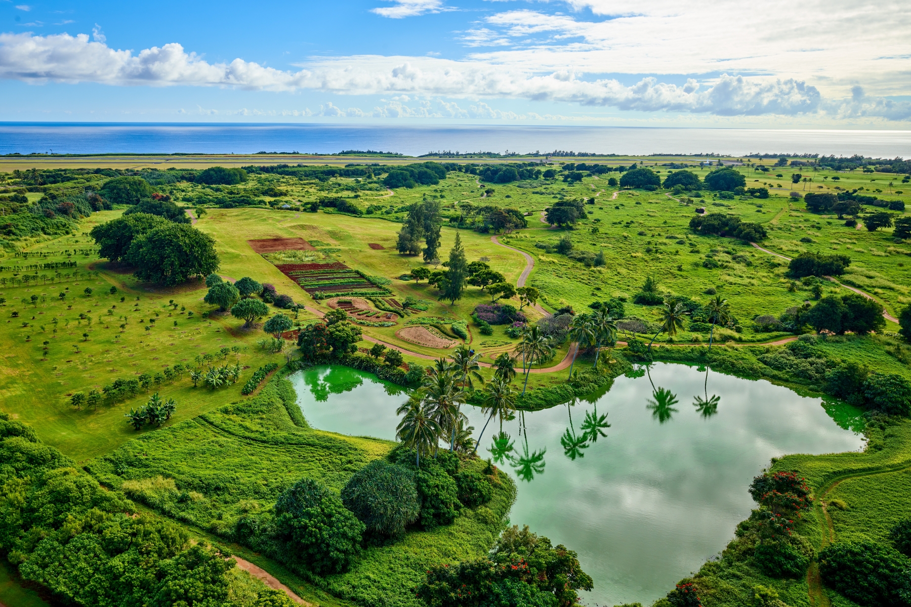 3770 Alaoli Way, Unit 1002 Lihue, HI 96766 - Photo 28 of 30