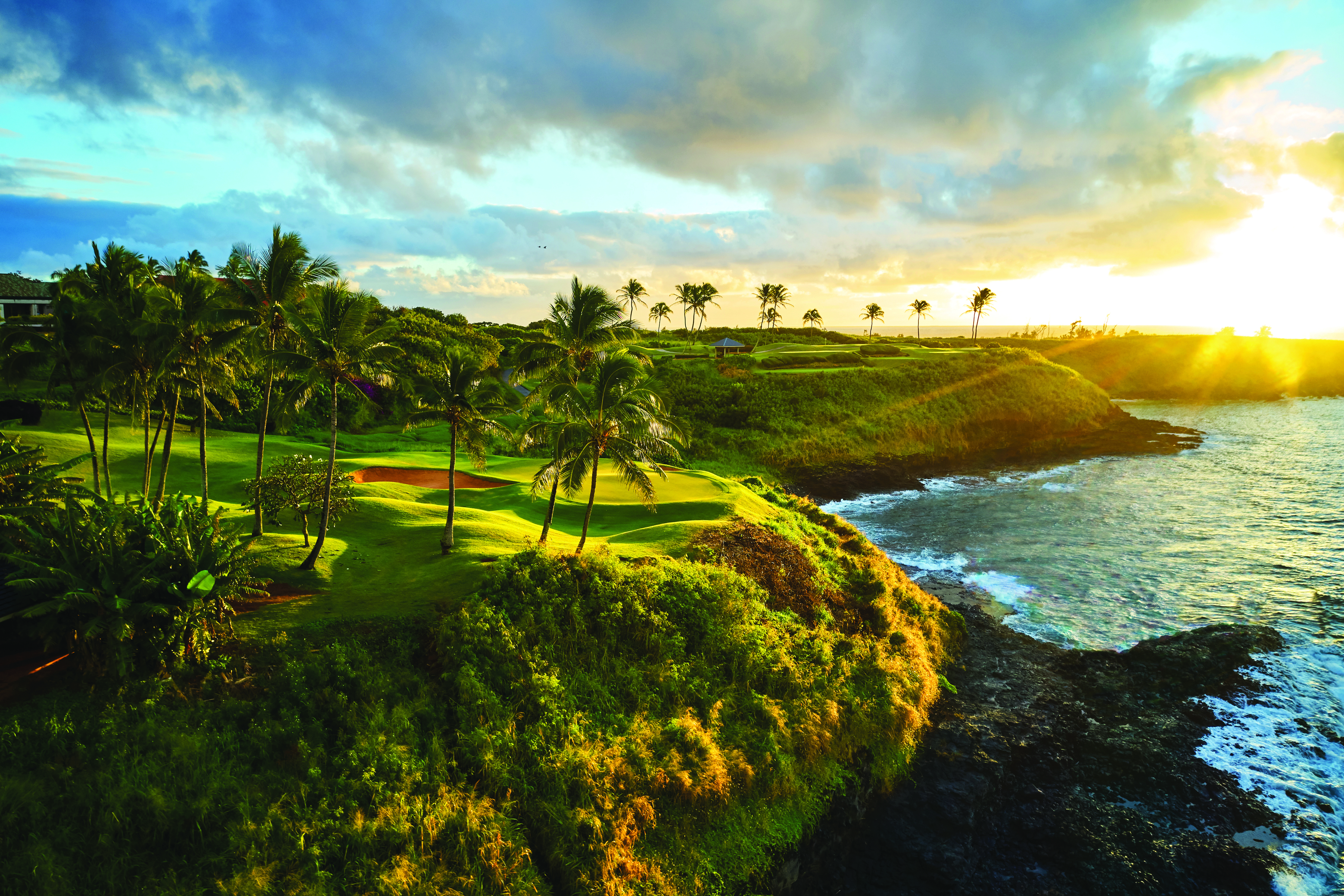 3770 Alaoli Way, Unit 1002 Lihue, HI 96766 - Photo 29 of 30