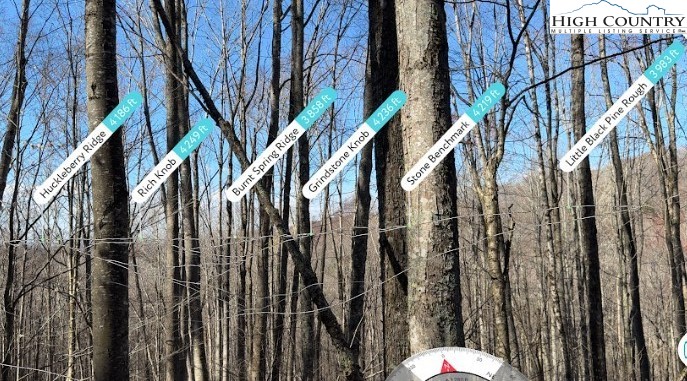 Lot 13 Larkspur Road Beech Mountain, NC 28604 - Photo 11 of 19