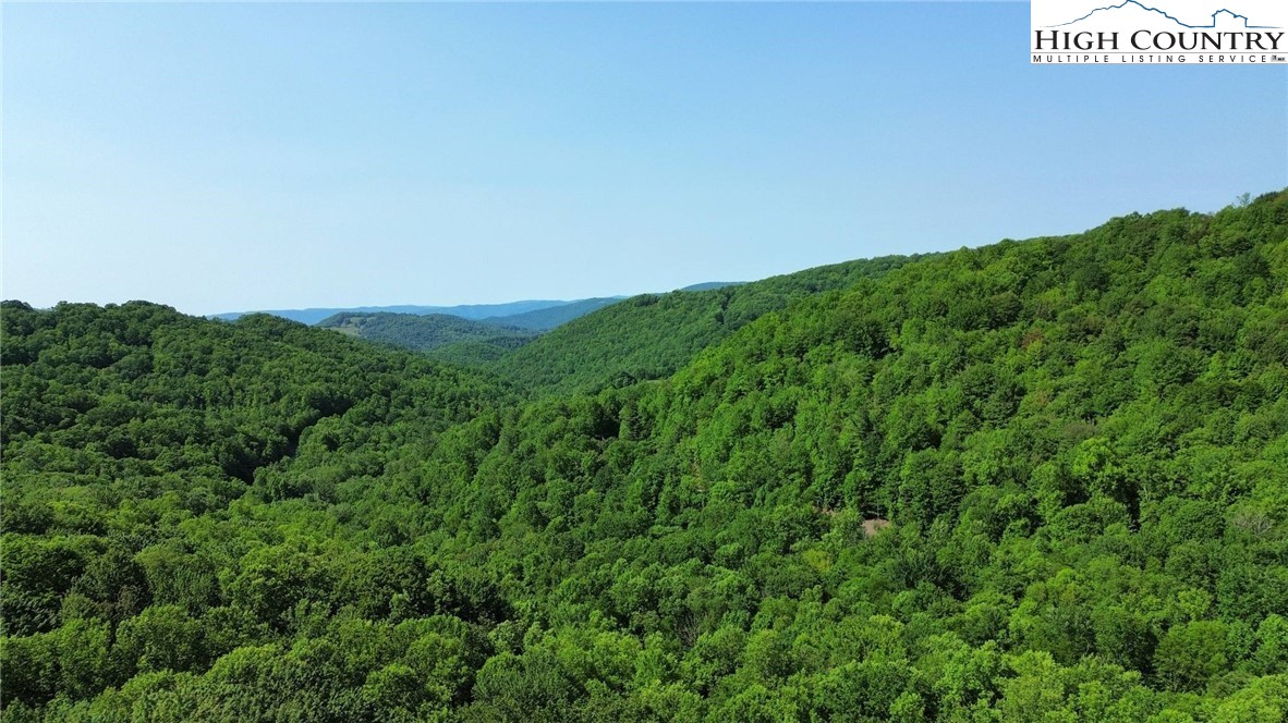 Lot 13 Larkspur Road Beech Mountain, NC 28604 - Photo 13 of 19 a view of a green field with lots of bushes