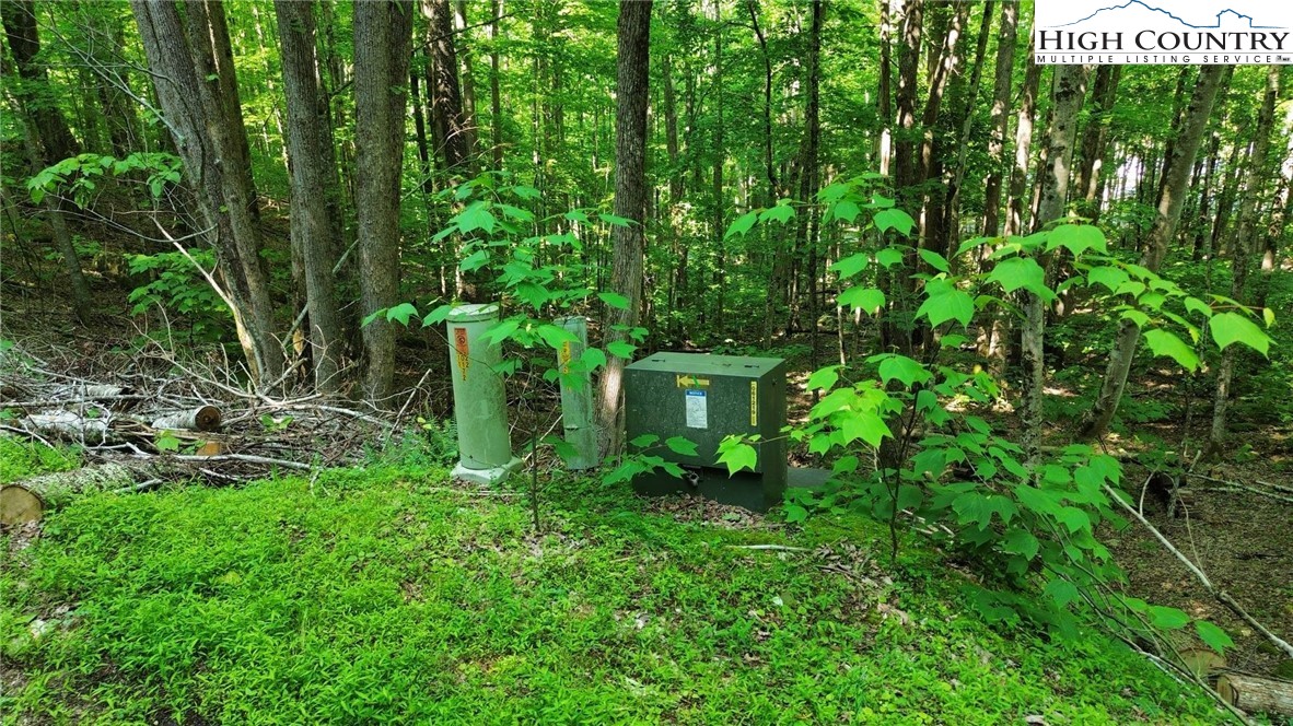 Lot 13 Larkspur Road Beech Mountain, NC 28604 - Photo 16 of 19 a view of a garden with plants