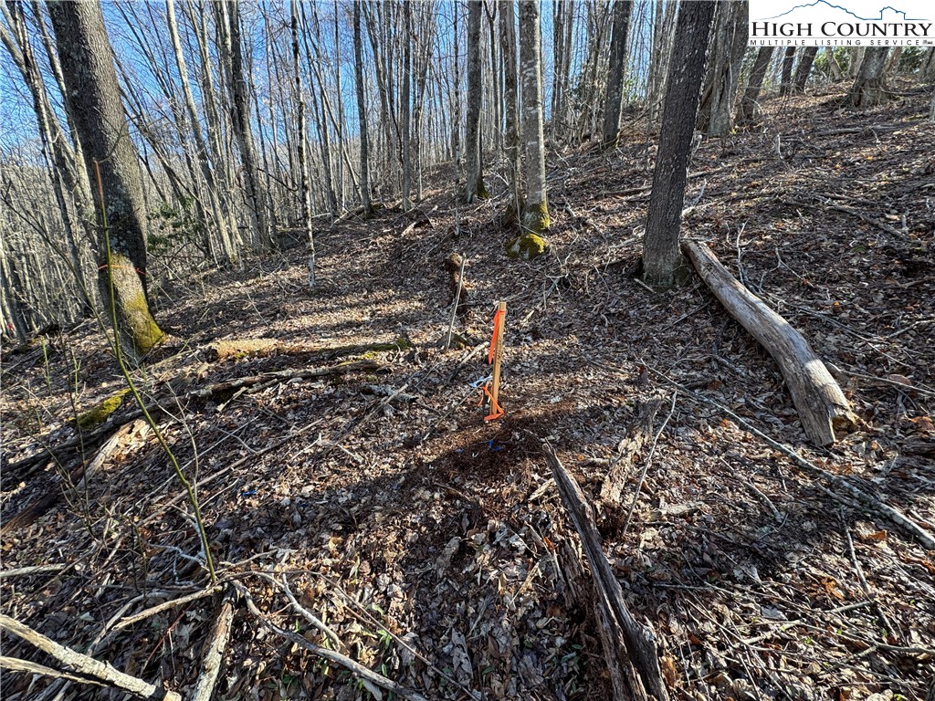 Lot 13 Larkspur Road Beech Mountain, NC 28604 - Photo 17 of 19 a view of a backyard of the house